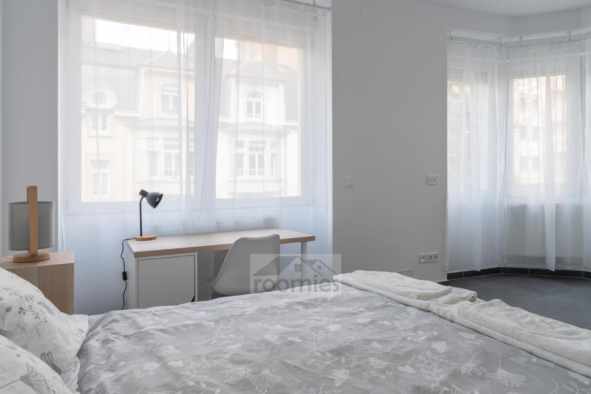 Roomies Luxembourg Centre Gare エクステリア 写真
